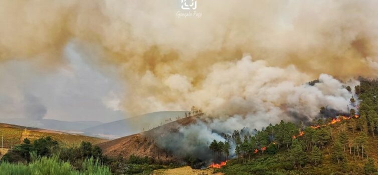 Presidente da CIM-BSE pede análise ao combate ao incêndio "Não pode o vento just
