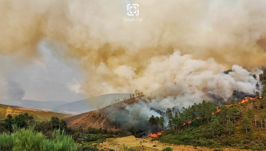 Presidente da CIM-BSE pede análise ao combate ao incêndio "Não pode o vento just