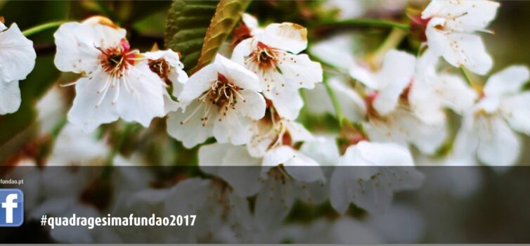 Programa Turístico “Quadragésima em Flor”