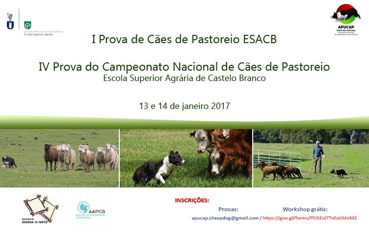 Prova de Cães de Pastoreio da ESACB/IPCB