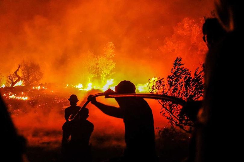 Revitalização da serra da Estrela avança em setembro