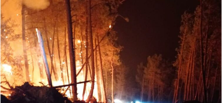 Sapadores Florestais da CIMBB