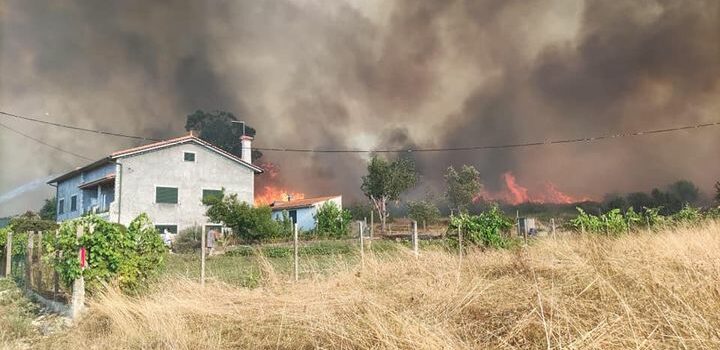 Seia foi atingida pelo fogo de Oliveira do Hospital