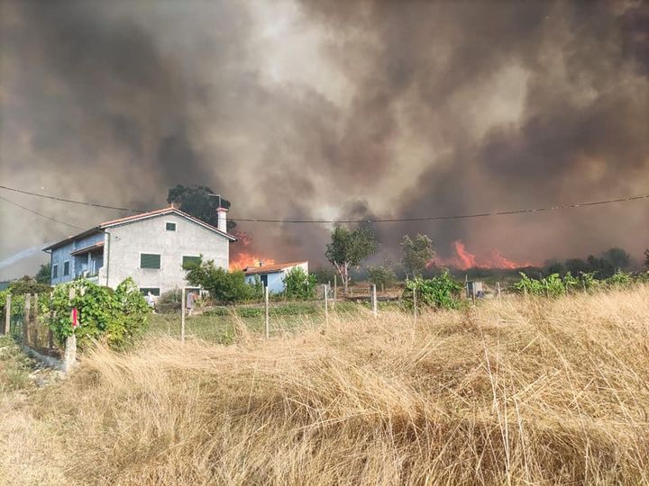Seia foi atingida pelo fogo de Oliveira do Hospital