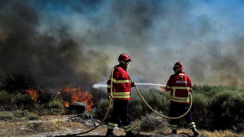 Situação de calamidade na Serra da Estrela para repor a normalidade na área