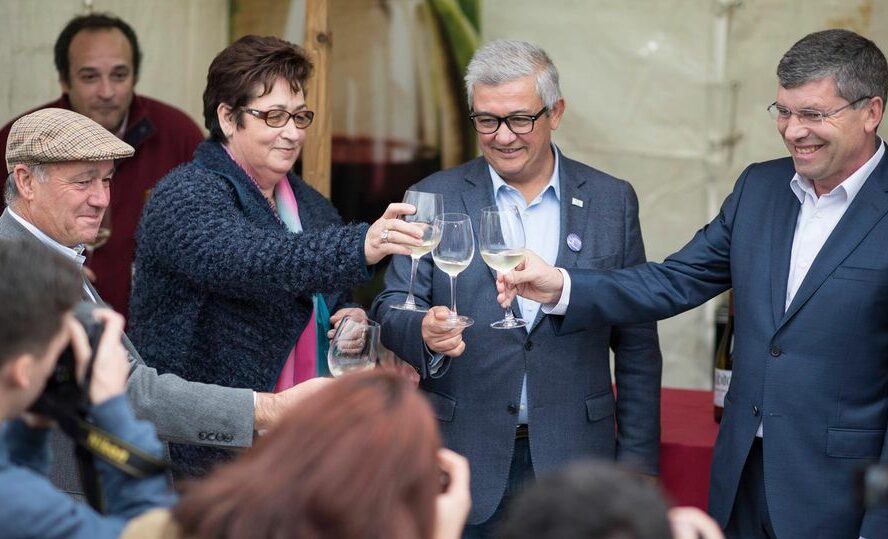 Vinhos e Licores