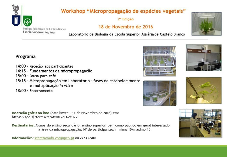 Workshop em "Micropropagação de espécies vegetais"