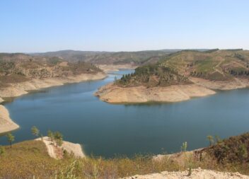 𝗢𝗯𝘀𝗲𝗿𝘃𝗮𝗰̧𝗮̃𝗼 𝗱𝗲 𝗮𝘃𝗲𝘀 𝗷𝗮́ 𝗽𝗼𝗱𝗲 𝘀𝗲𝗿 𝗿𝗲𝗮𝗹𝗶𝘇𝗮𝗱𝗮 𝗷𝘂𝗻𝘁𝗼 𝗮𝗼 𝗥𝗶𝗼 𝗢𝗰𝗿𝗲𝘇𝗮