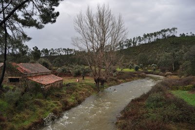 Vila de Rei