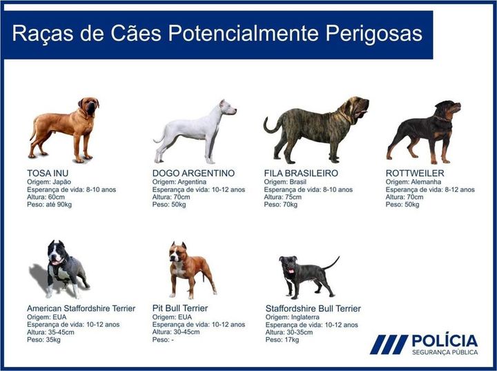 3.º Curso de Formação de Detentores de Cães Perigosos e Potencialmente Perigosos