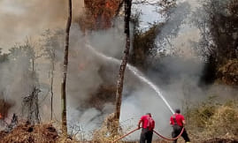46 bombeiros combatem chamas no mato de Penamacor e Fundão
