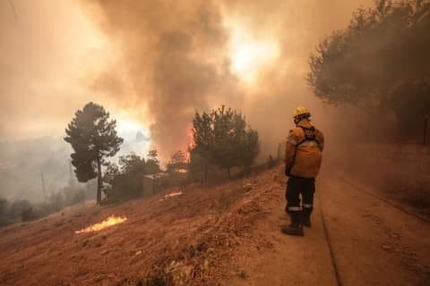 Bombeiros da Covilhã registaram onze ignições na mesma zona antes do grande fogo