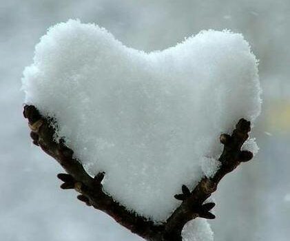 Cai neve na Guarda