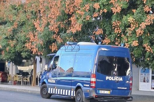 Castelo Branco || Encontrado sem vida.