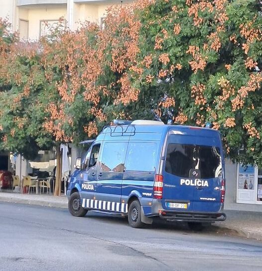 Castelo Branco || Encontrado sem vida.