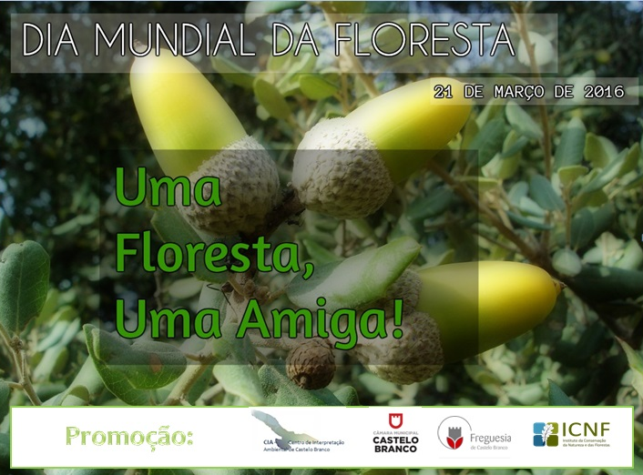 Dia Mundial da Floresta