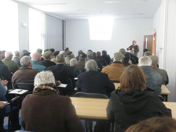 Em Vila de Rei
