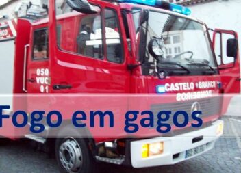 Fogo em Vale dos Gagos