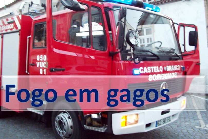Fogo em Vale dos Gagos