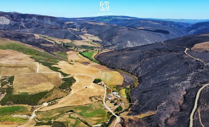 Governo aprova apoios de 200 ME para serra da Estrela e concelhos com maior área