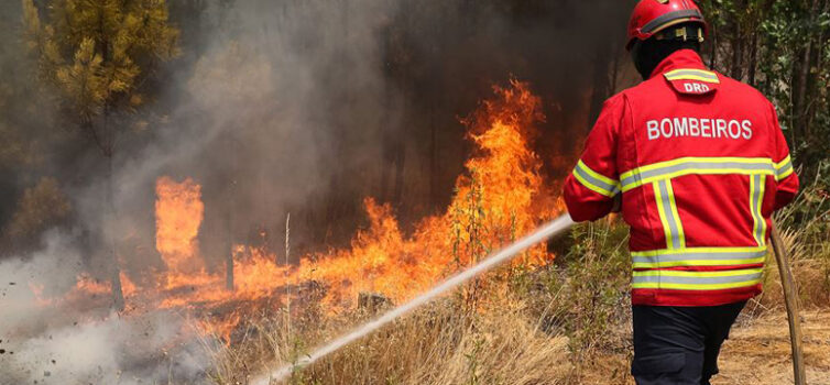 Incêndio em Idanha-a-Nova