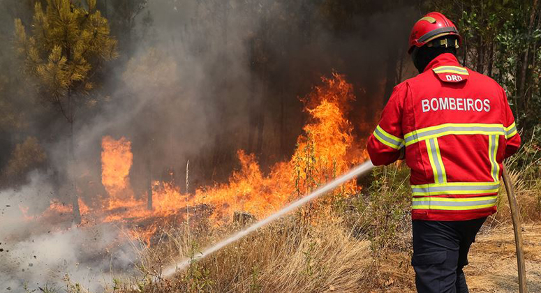 Incêndio em Idanha-a-Nova