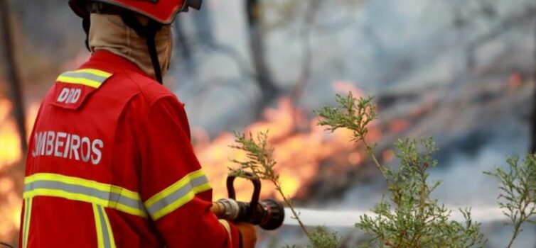 Incêndio florestal em Sarzedas