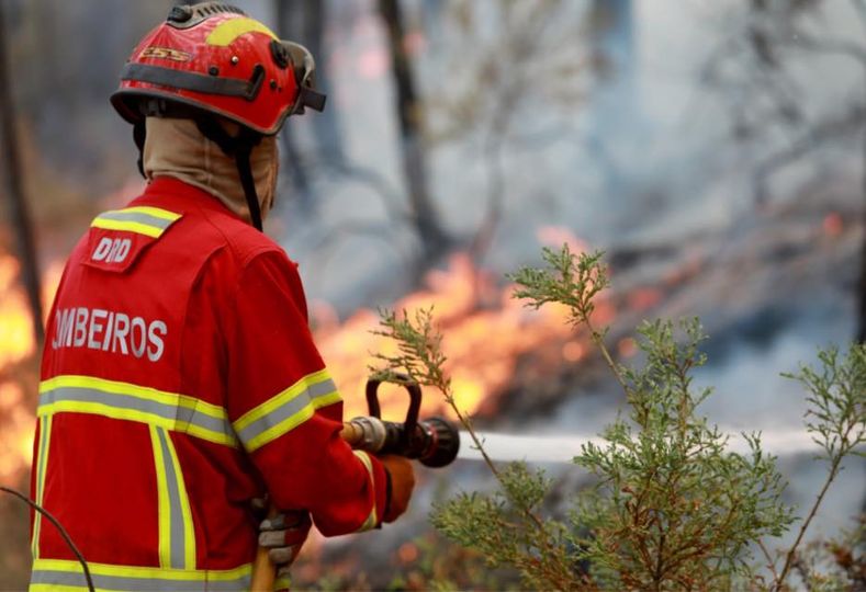 Incêndio florestal em Sarzedas