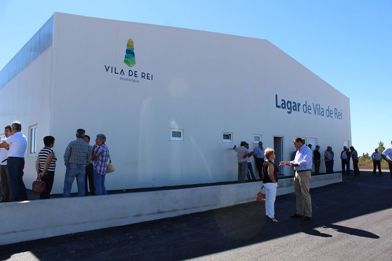 Mais de 800 toneladas de azeitona