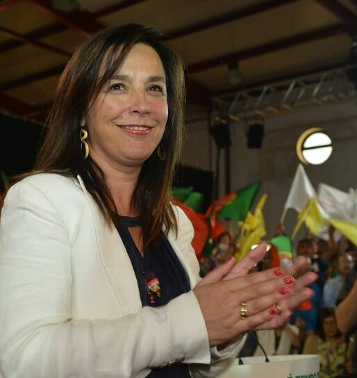 "Não havia estudo algum"