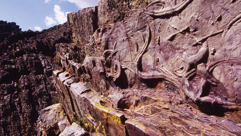 Naturtejo celebra 10 anos de reconhecimento