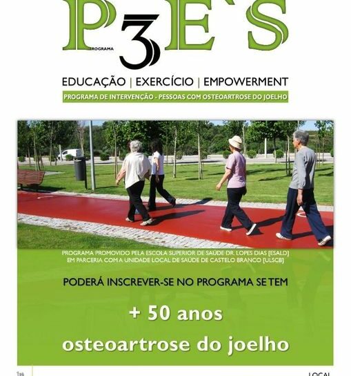 Programa P3E'S – Educação