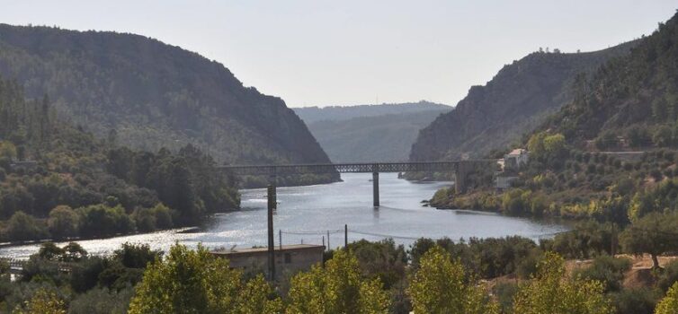 Que fazer por este rio Tejo?