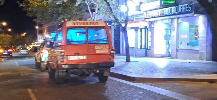 Queda de árvore em Castelo Branco