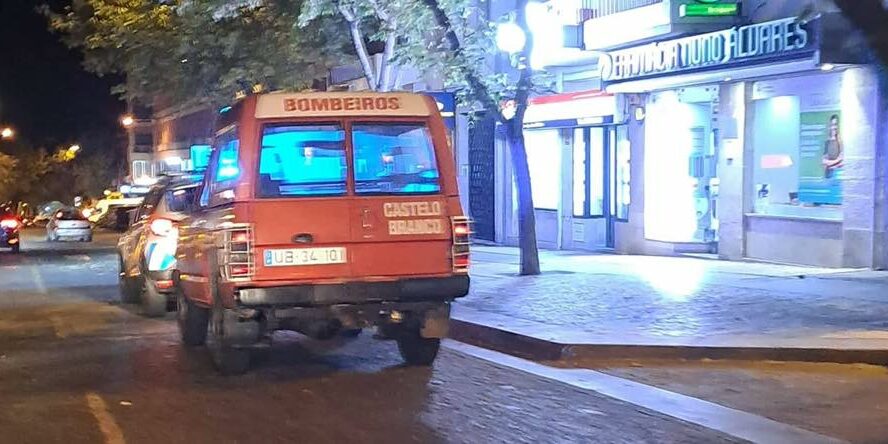 Queda de árvore em Castelo Branco
