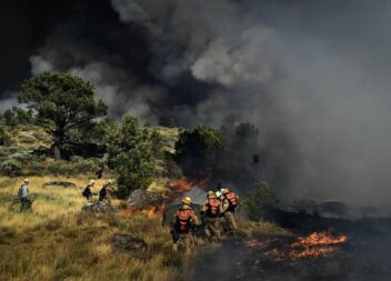 Reativação no incêndio de Loriga na Serra da Estrela