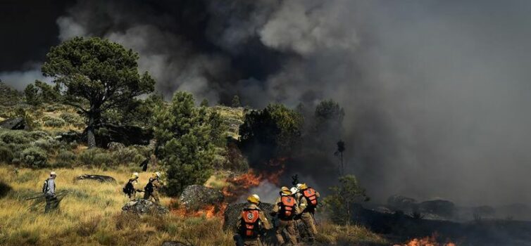 Reativação no incêndio de Loriga na Serra da Estrela