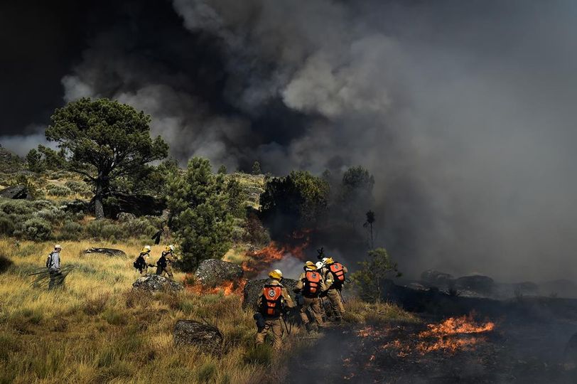 Reativação no incêndio de Loriga na Serra da Estrela
