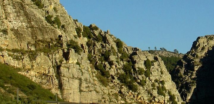Tourism Train no Geopark Naturtejo