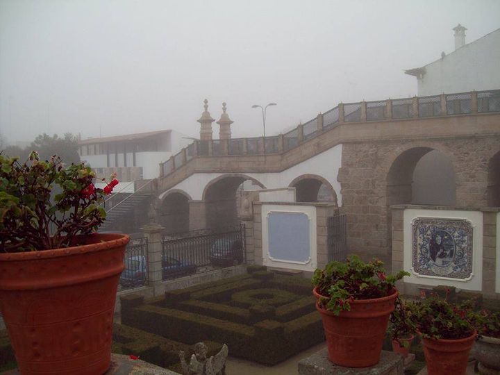 Visita guiada ao Jardim do Paço