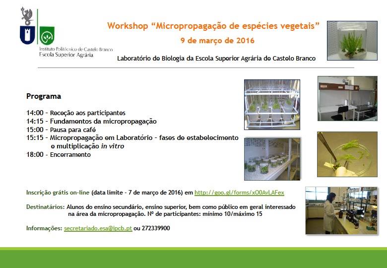 Workshop “Micropropagação de Espécies Vegetais”