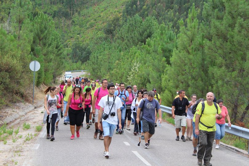Vila de Rei