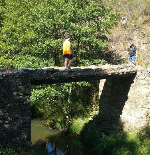 Vila de Rei