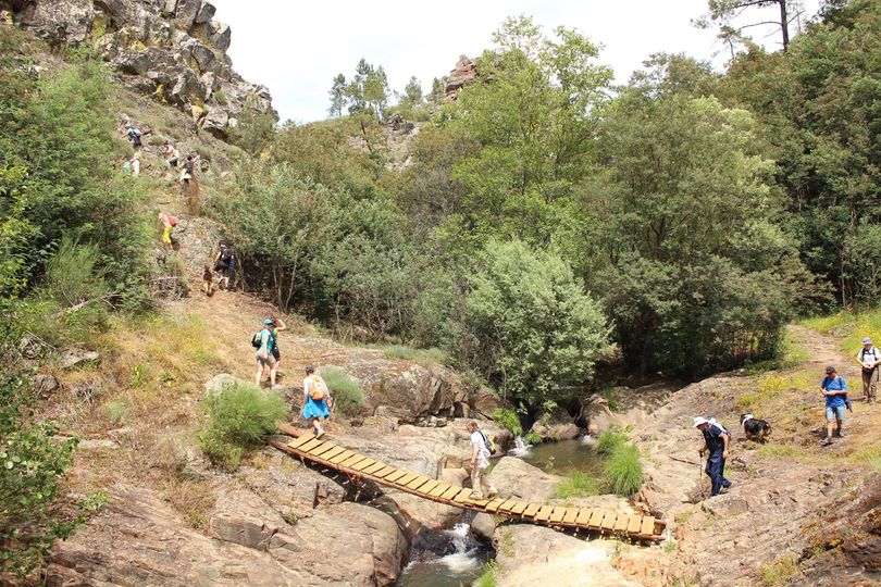 Vila de Rei
