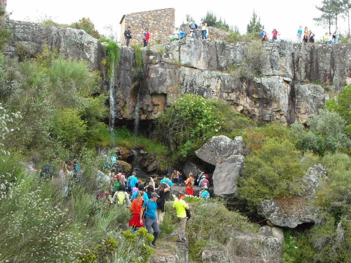 Vila de Rei