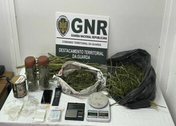 Guarda