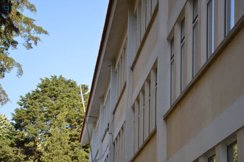 Alunos da Amato divulgam 1º Prémio nacional