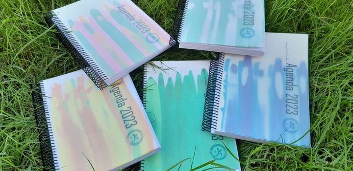 Associação de Apoio à Criança do Distrito de Castelo Branco