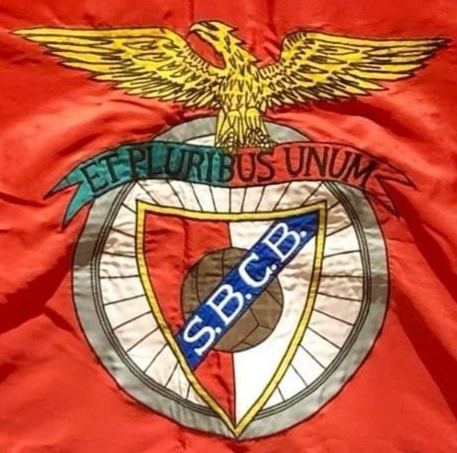 Benfica e Castelo Branco 3 Loures 1