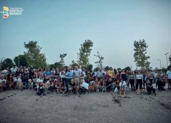 'Cãominhada' no Dia do Animal em Castelo Branco ¦¦ ÁLBUM DE FOTOS